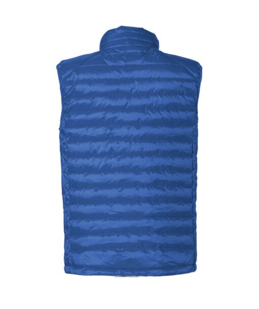 Hudsons Royal Back scaled - Clique Hudson Vest - Men's Fit